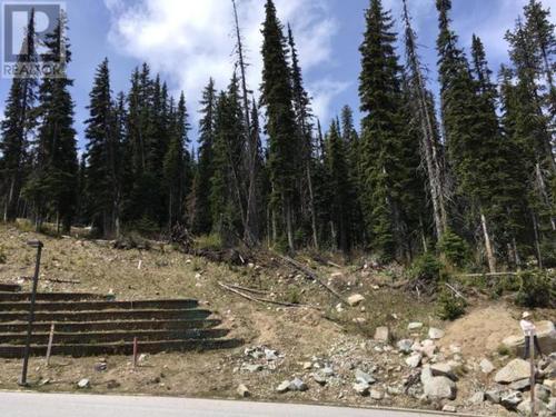 110-snow-mountain-place-pe-apex-mountain-hedley-apex-05 at 110 Snow Mountain Place, Apex Mountain (hedley), Apex