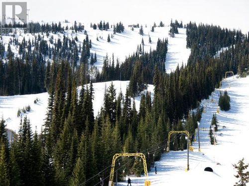 209-330-strayhorse-road-pe-apex-mountain-hedley-apex-mountain-resort-22 at 209 - 330 Strayhorse Road, Apex Mountain (hedley), Apex 209-330-strayhorse-road-pe-apex-mountain-hedley-apex-mountain-resort-22 at 209 - 330 Strayhorse Road, Apex Mountain (hedley), Apex