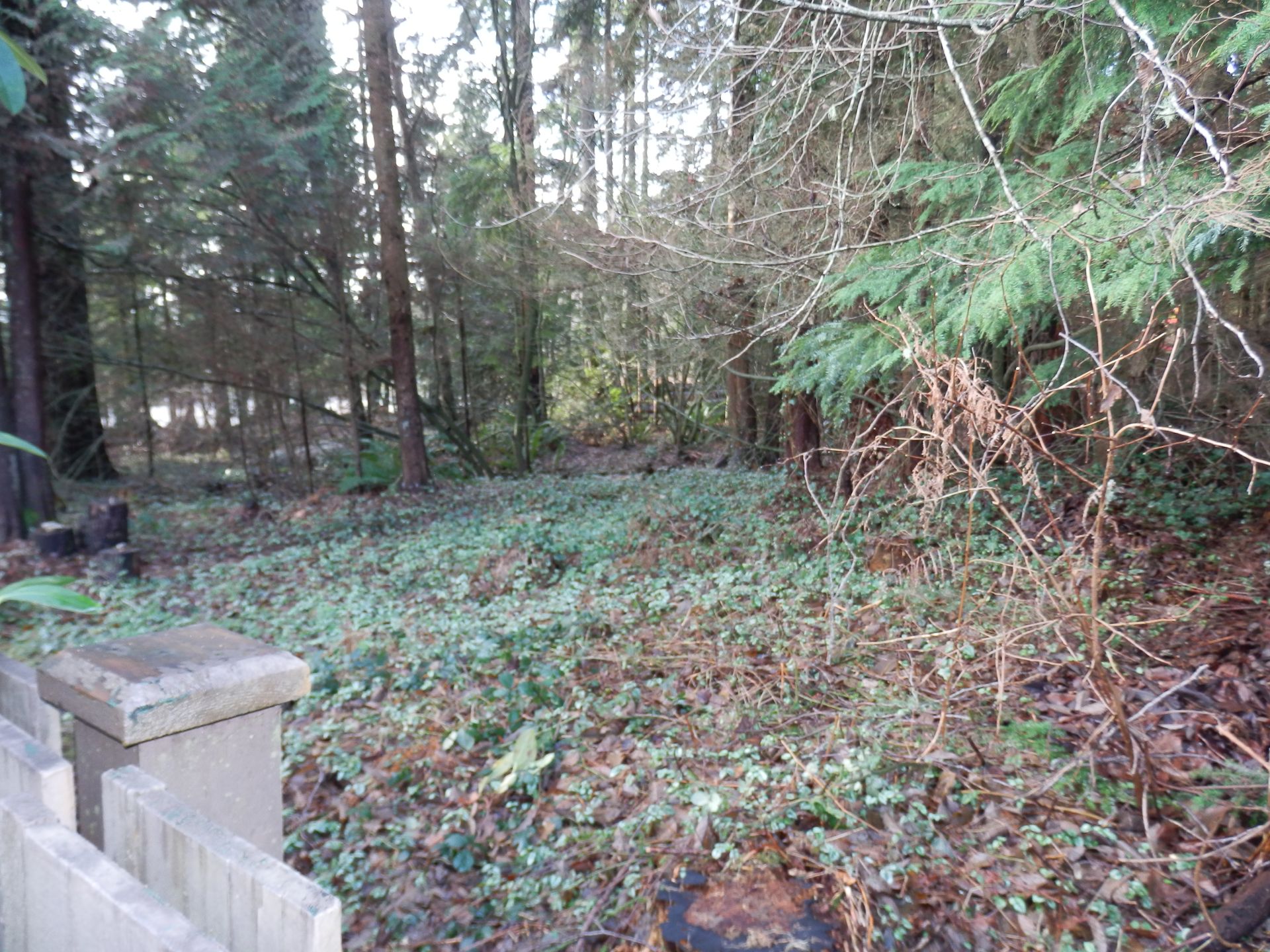 60155 at 4619 Hoskins Road, Lynn Valley, North Vancouver