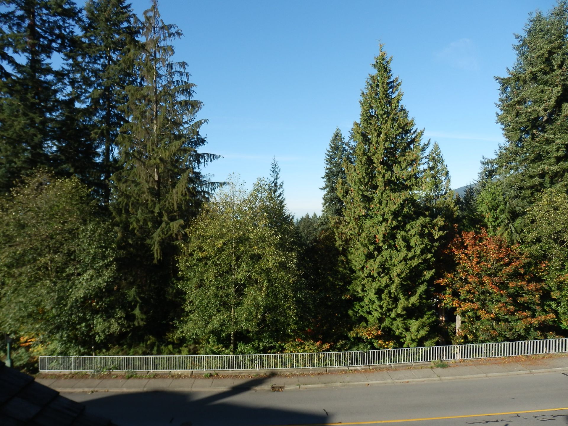 62781 at 192 Montroyal Boulevard, North Vancouver