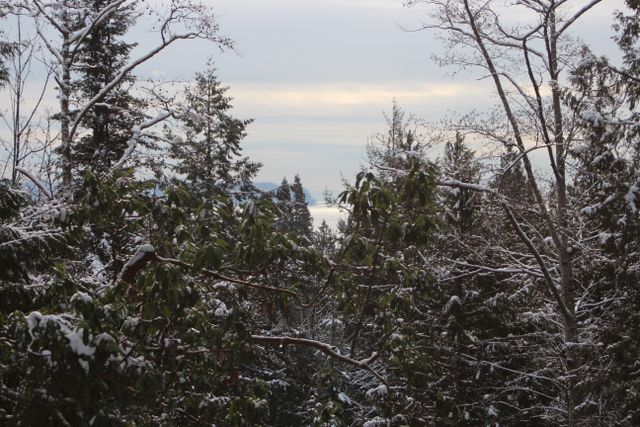 64583 at 6202 Overstone Drive, West Vancouver