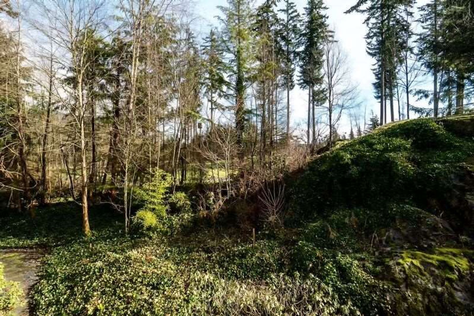 64361 at 206 - 1140 Strathaven Drive, North Vancouver