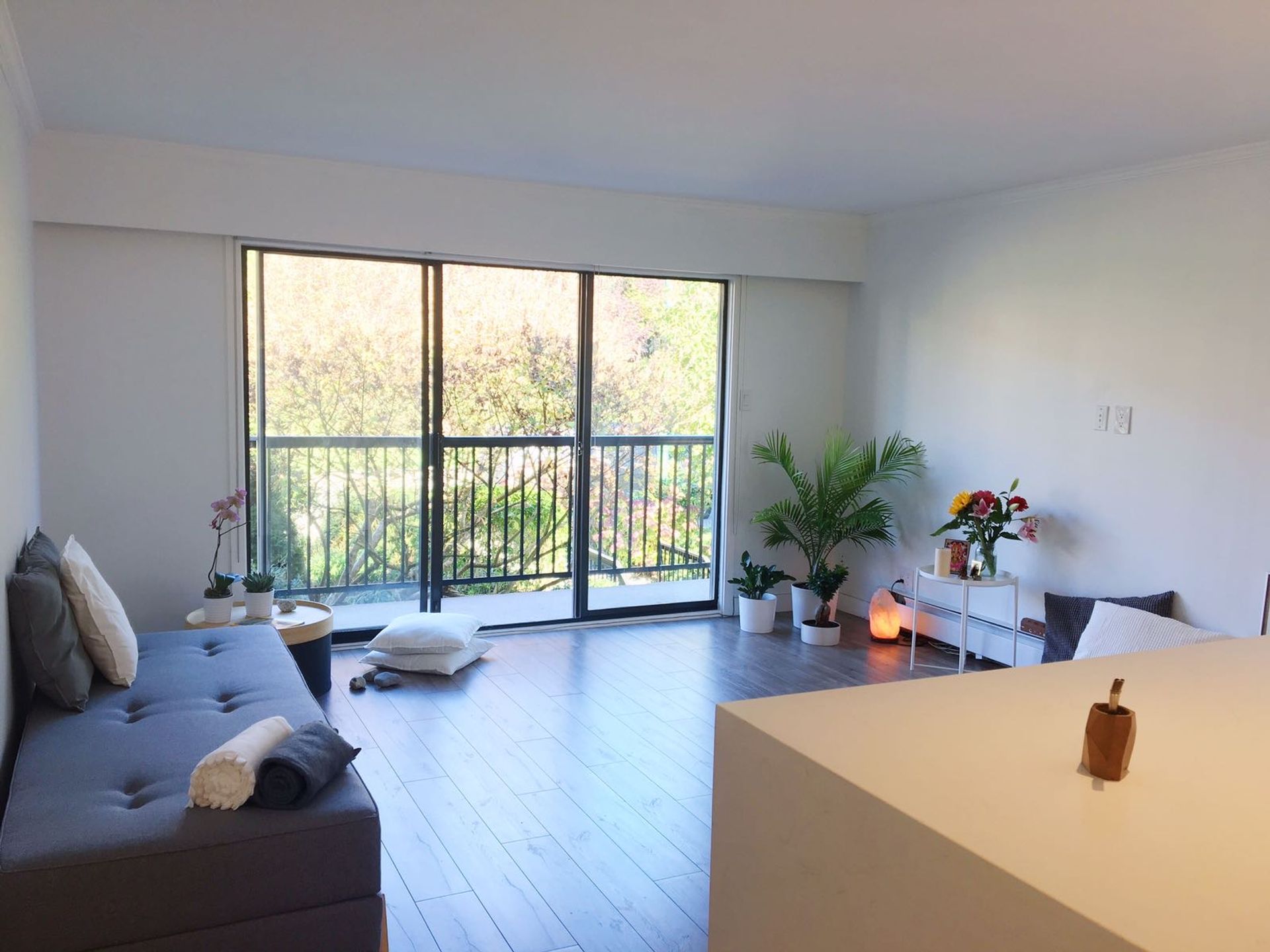 65856 at 5 - 137 5th Street E, North Vancouver