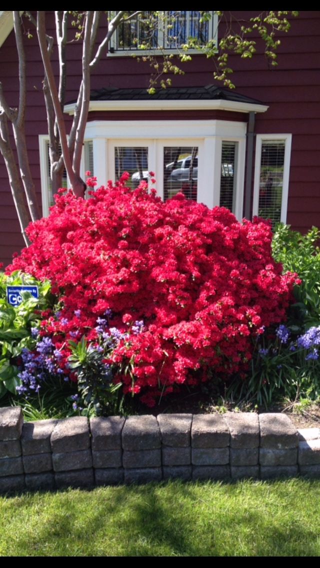 73488 at 3323 Redfern Place, North Vancouver