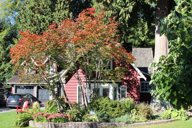 73503 at 3323 Redfern Place, North Vancouver