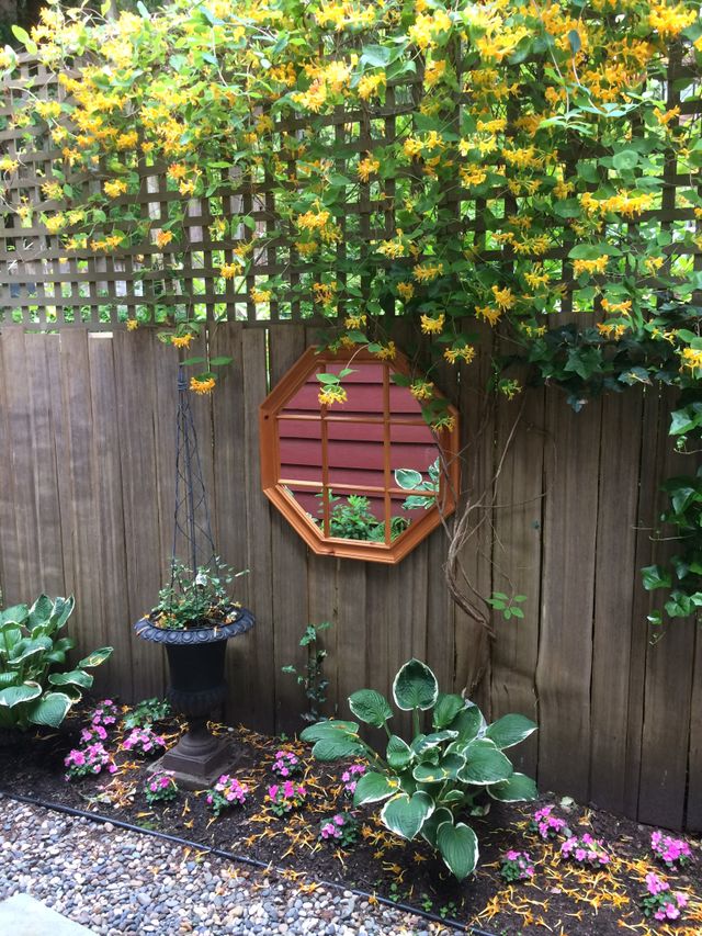 73509 at 3323 Redfern Place, North Vancouver