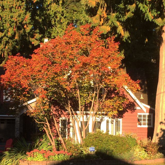 73512 at 3323 Redfern Place, North Vancouver