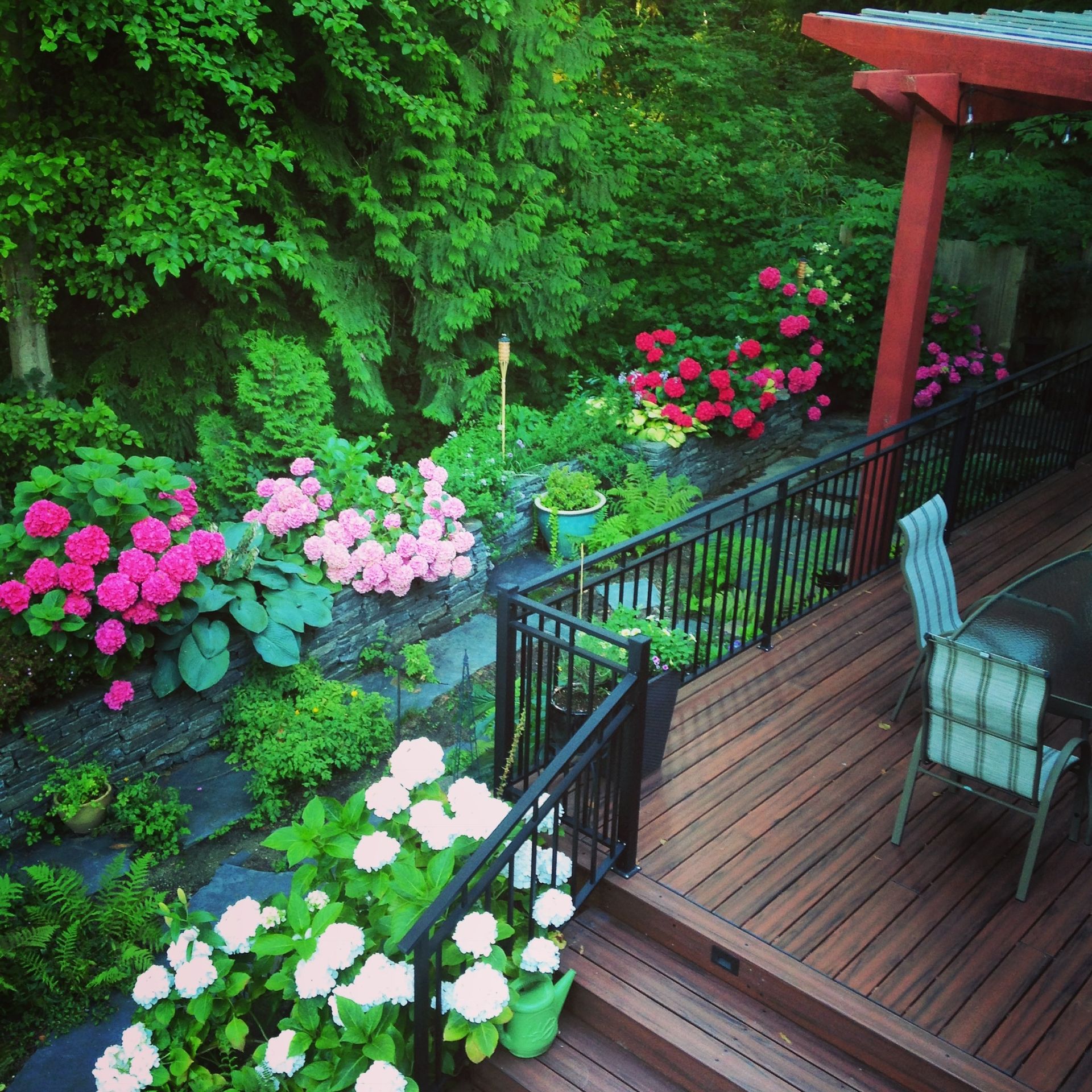 73494 at 3323 Redfern Place, North Vancouver