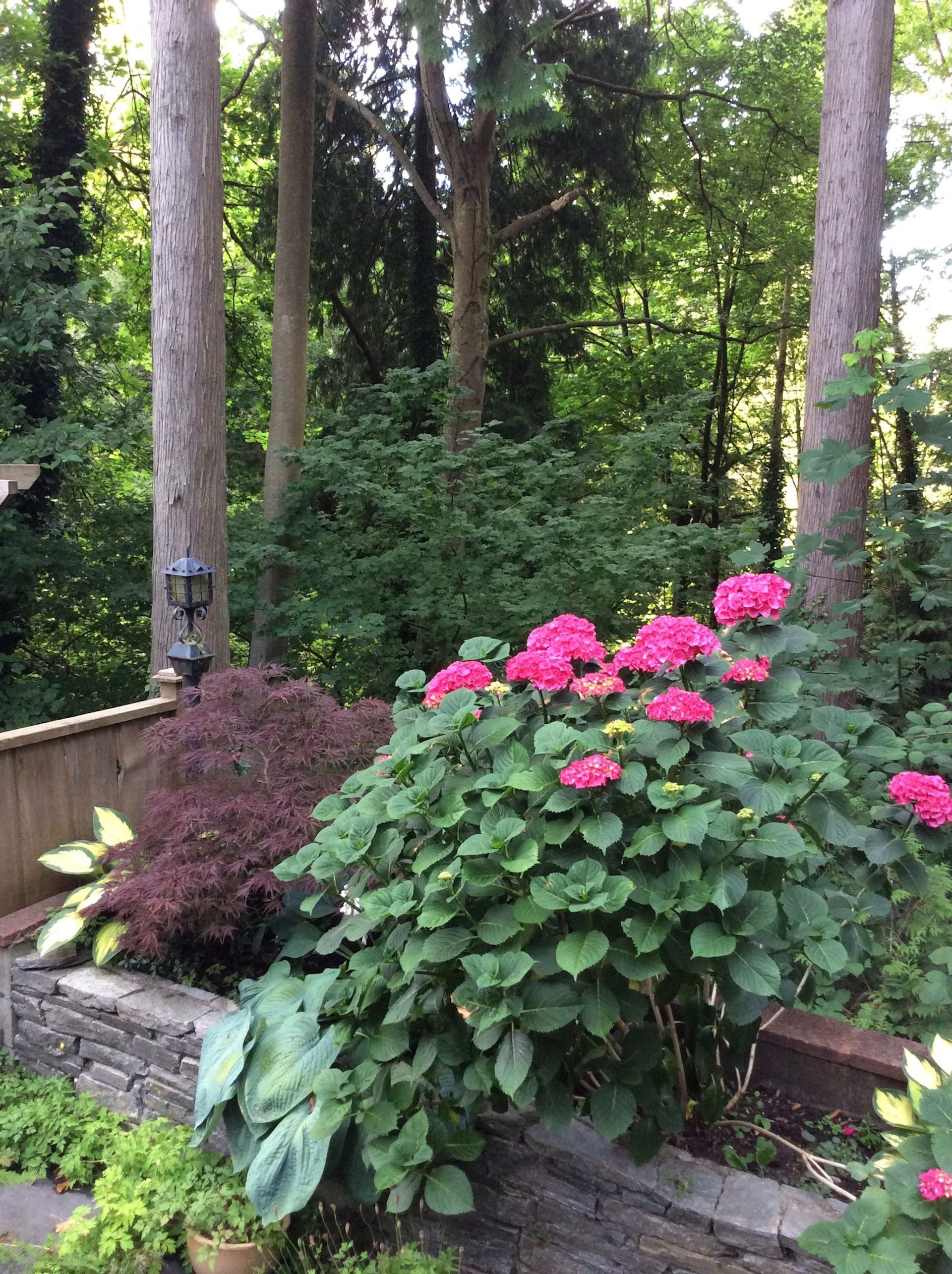 73500 at 3323 Redfern Place, North Vancouver