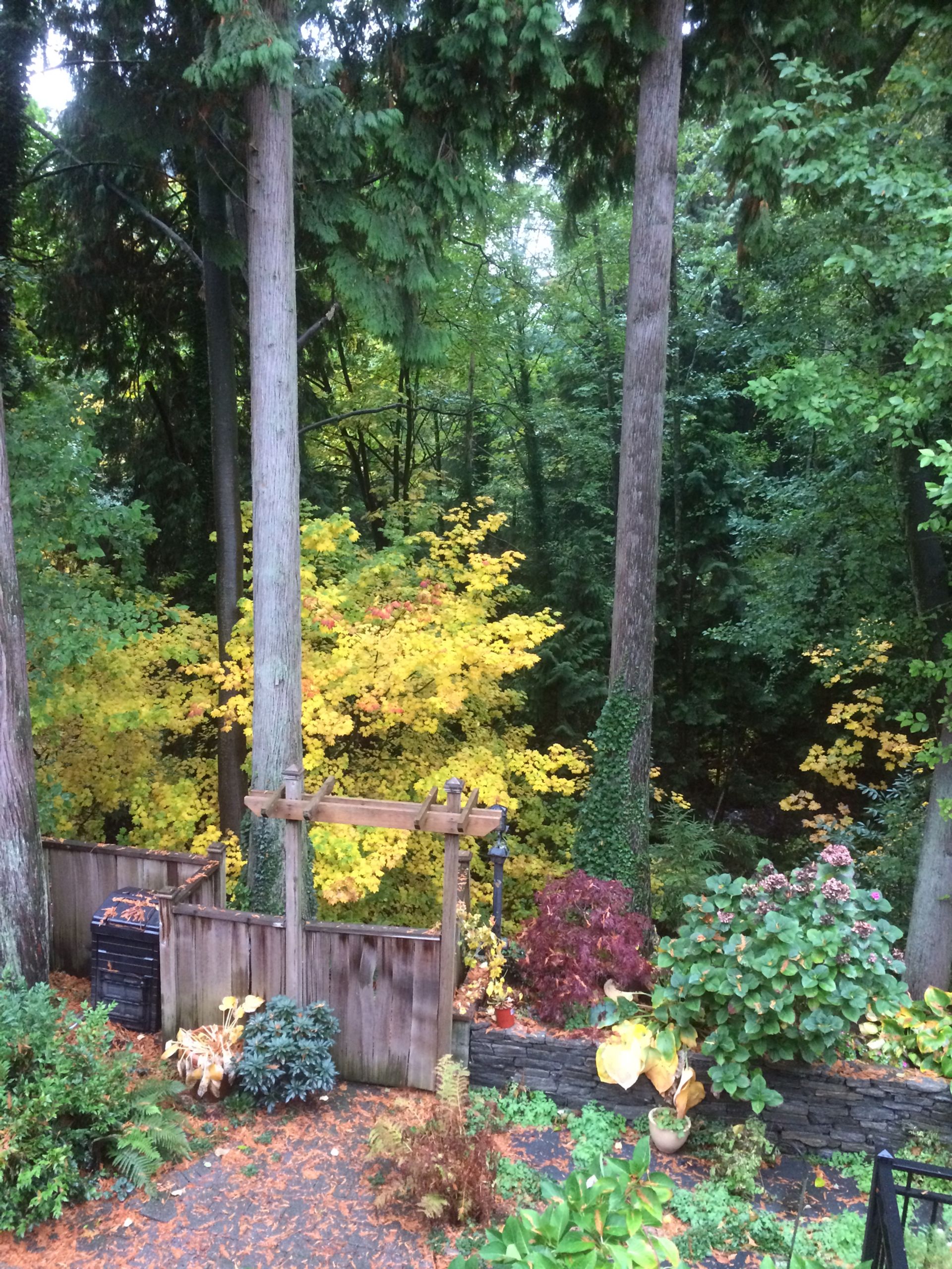 73515 at 3323 Redfern Place, North Vancouver