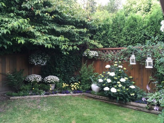 74915 at 401 - 3980 Inlet Crescent, North Vancouver