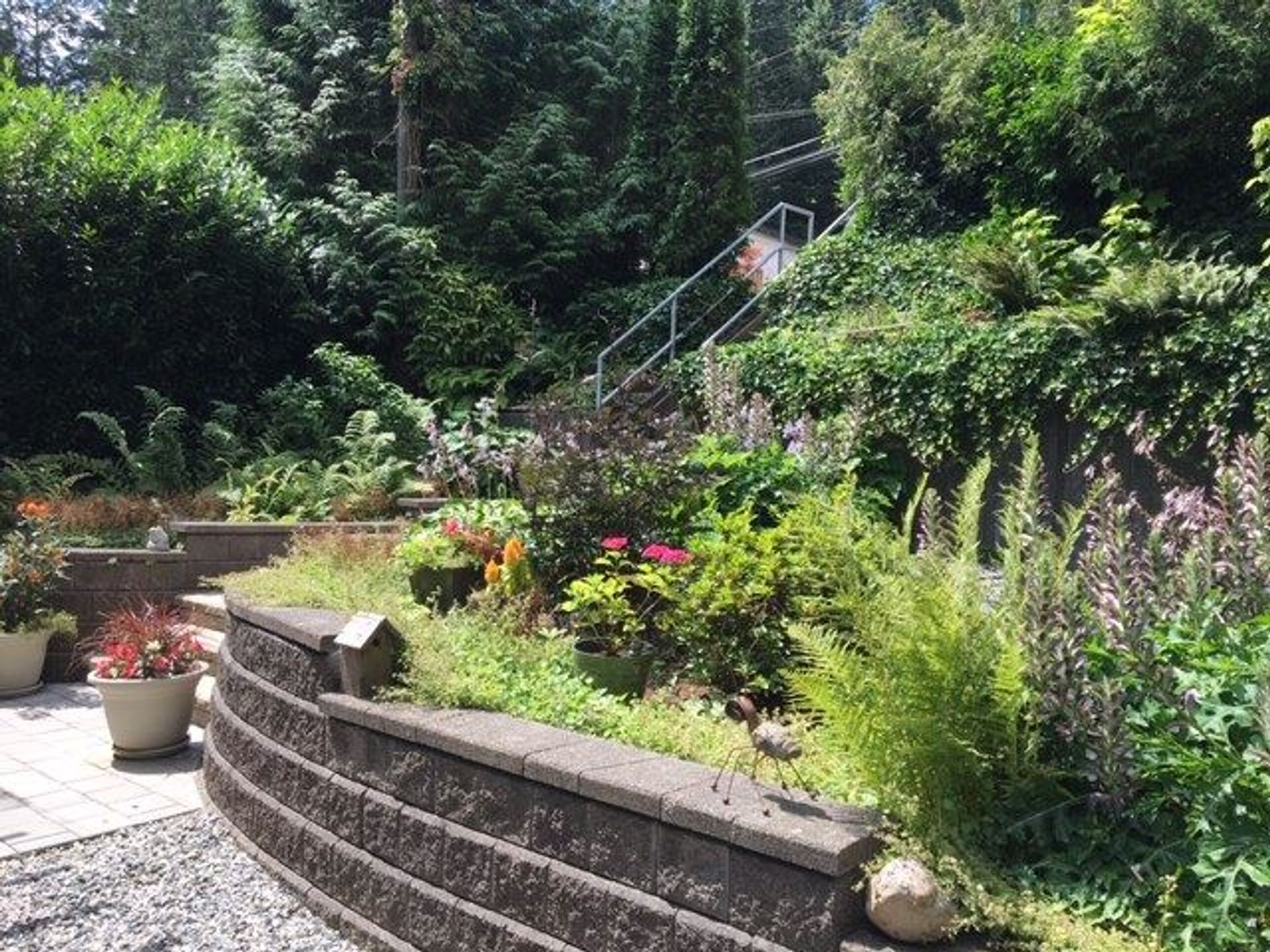 79653 at 1650 Deep Cove Road, North Vancouver