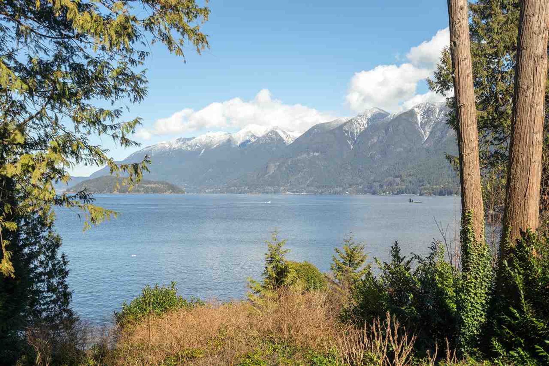 80894-1 at 7185 Cliff Road, West Vancouver