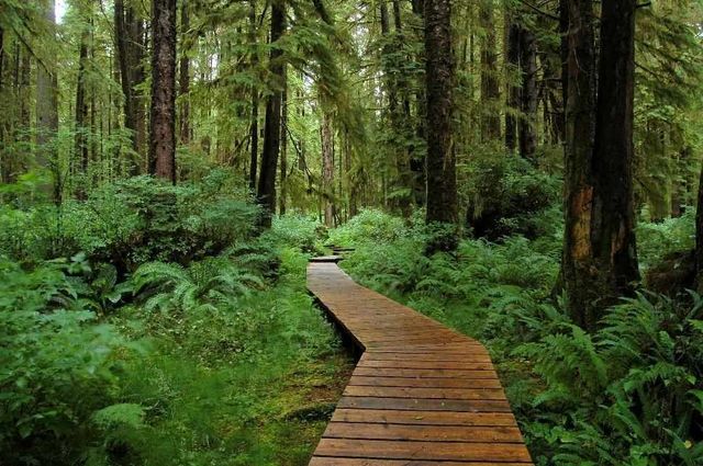 81422 at 3633 Robinson Road, North Vancouver