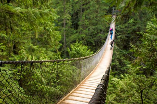 81443 at 3633 Robinson Road, North Vancouver