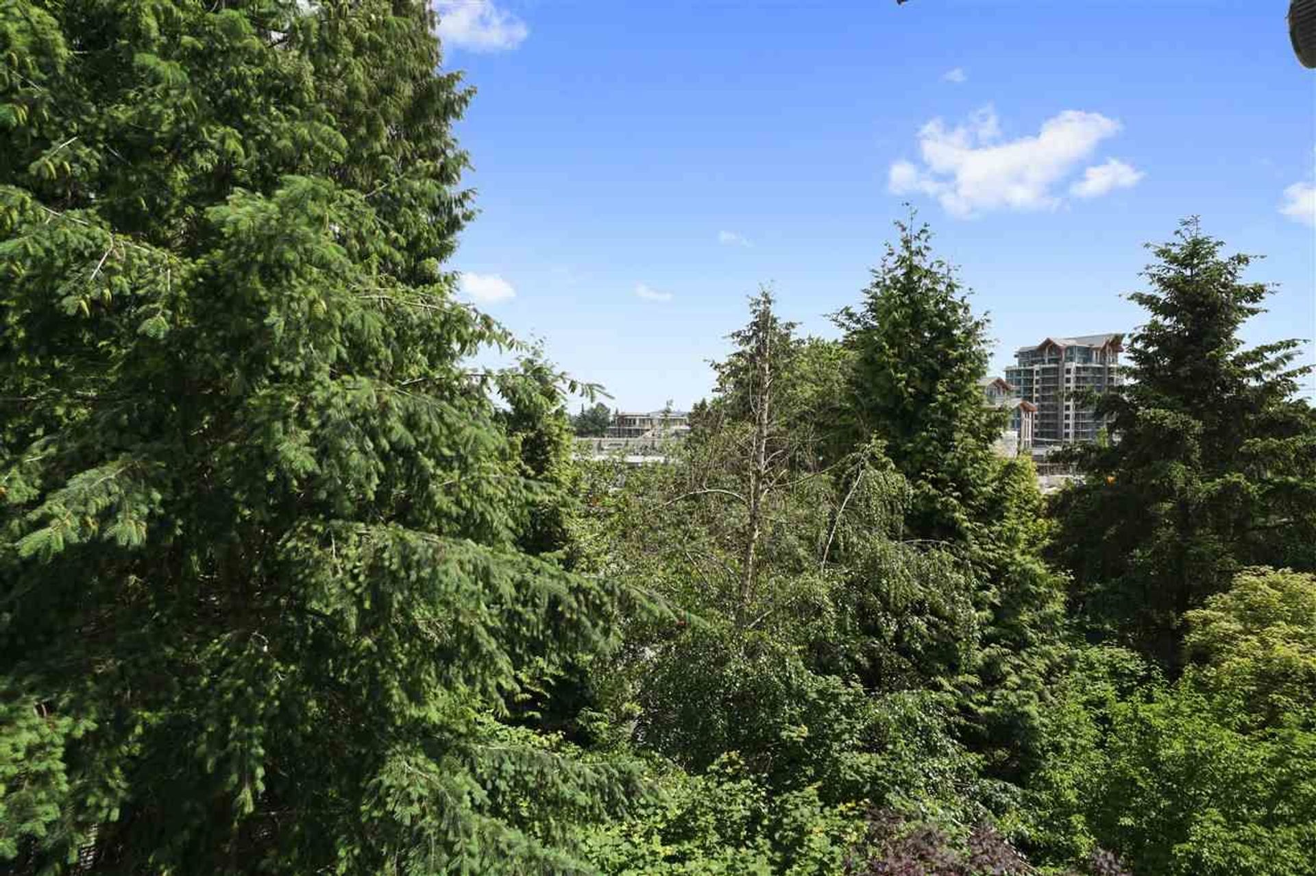 82333 at 411 - 1150 29th Street E, North Vancouver