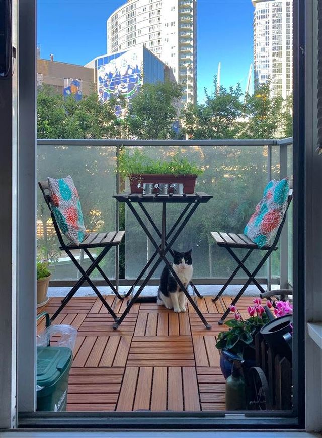 89818 at 307 - 689 Abbott Street, Vancouver West