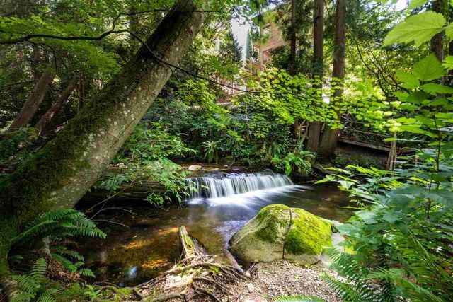 90631 at 985 Clements Avenue, North Vancouver