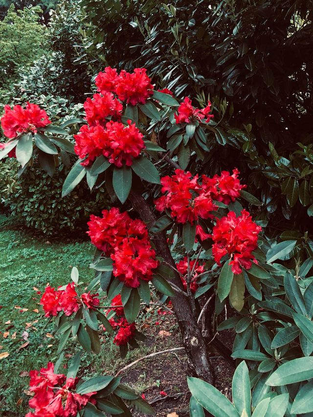 262718975-39 at 1515 Palmerston Avenue, West Vancouver