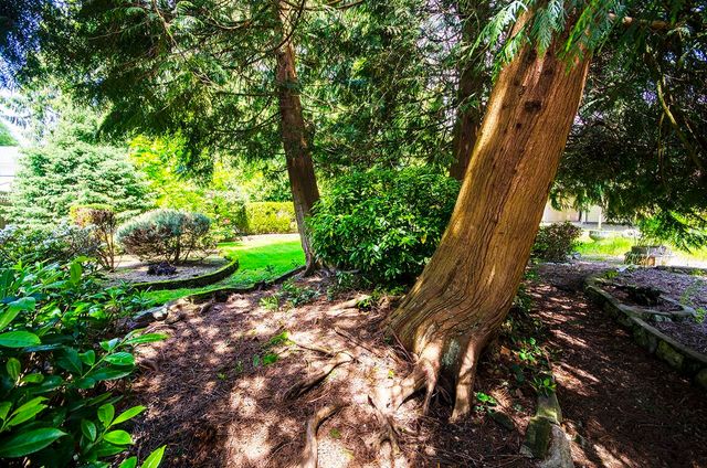 262717759-11 at 4365 Carolyn Drive, North Vancouver