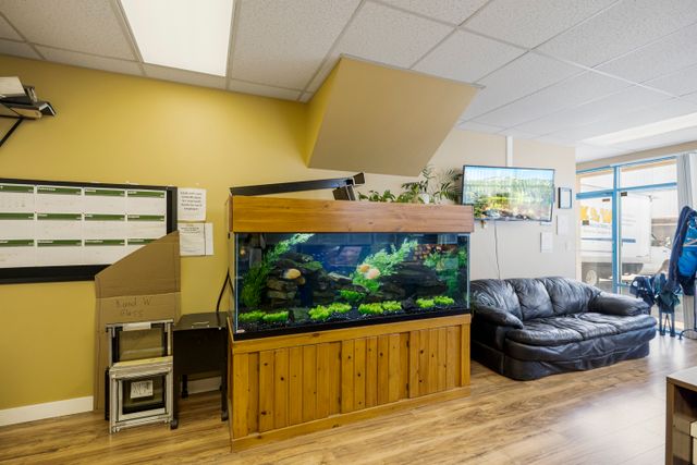 54-1833-coast-meridian-port-coquitlam_20 at 54 - 1833 Coast Meridian Road, Lower Mary Hill, Port Coquitlam