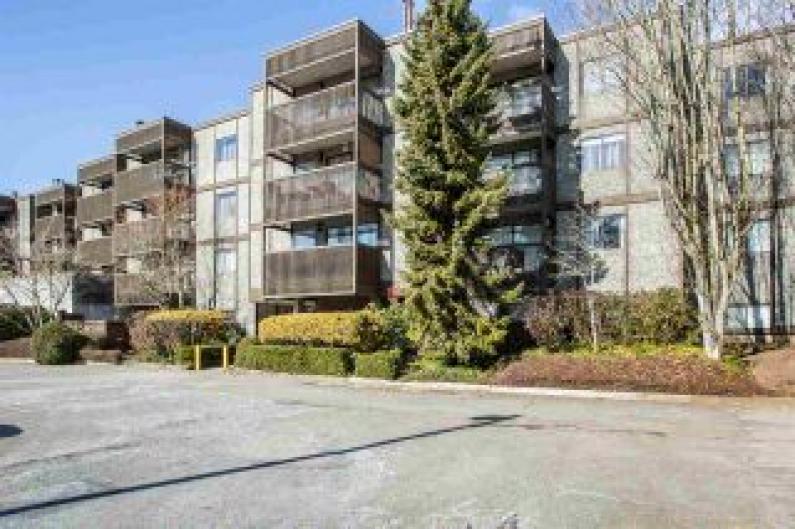 203 - 13507 96 Avenue, Queen Mary Park Surrey, Surrey photo number 2 203 - 13507 96 Avenue, Queen Mary Park Surrey, Surrey photo number 2