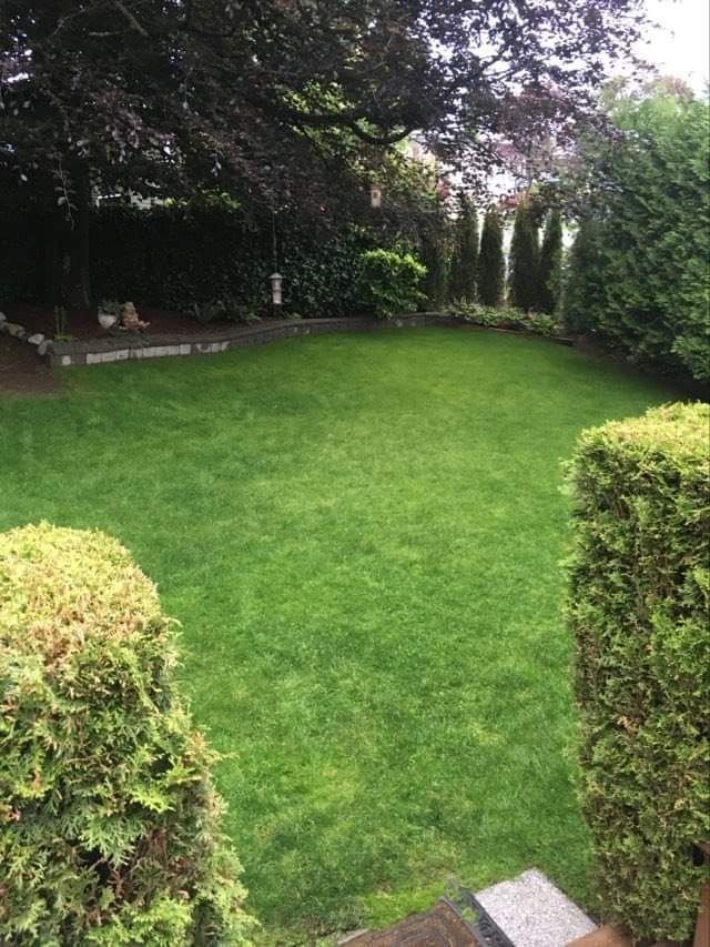 81f80f94cb0a6f32d50edd7636d52d18 at 1932 Pitt River Road, Mary Hill, Port Coquitlam