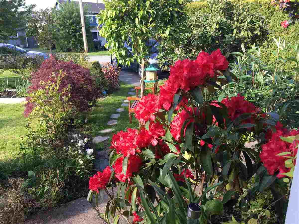 6114-49b-avenue-holly-ladner-08 at 6114 49b Avenue, Holly, Ladner 6114-49b-avenue-holly-ladner-08 at 6114 49b Avenue, Holly, Ladner