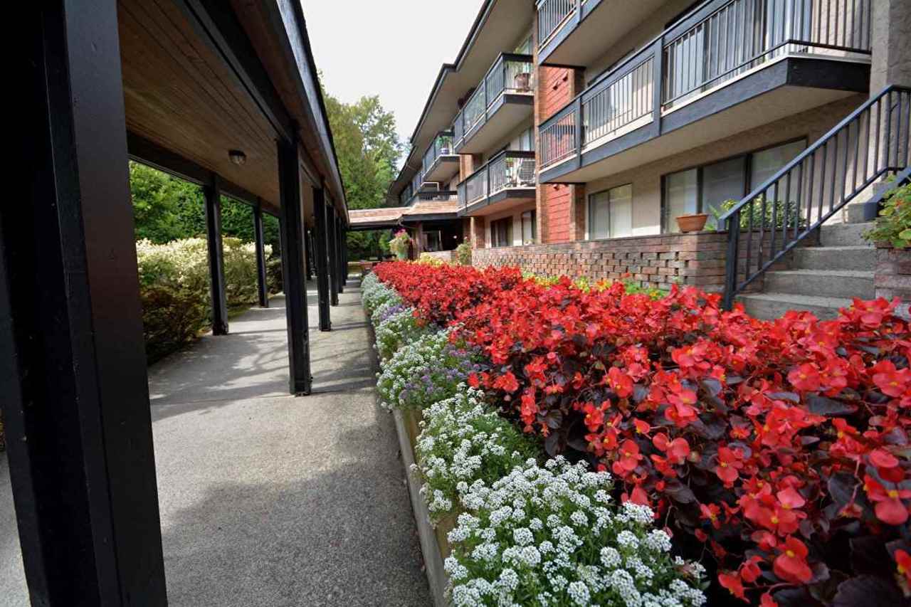 1175-ferguson-road-tsawwassen-east-tsawwassen-02 at 109 - 1175 Ferguson Road, Tsawwassen East, Tsawwassen 1175-ferguson-road-tsawwassen-east-tsawwassen-02 at 109 - 1175 Ferguson Road, Tsawwassen East, Tsawwassen