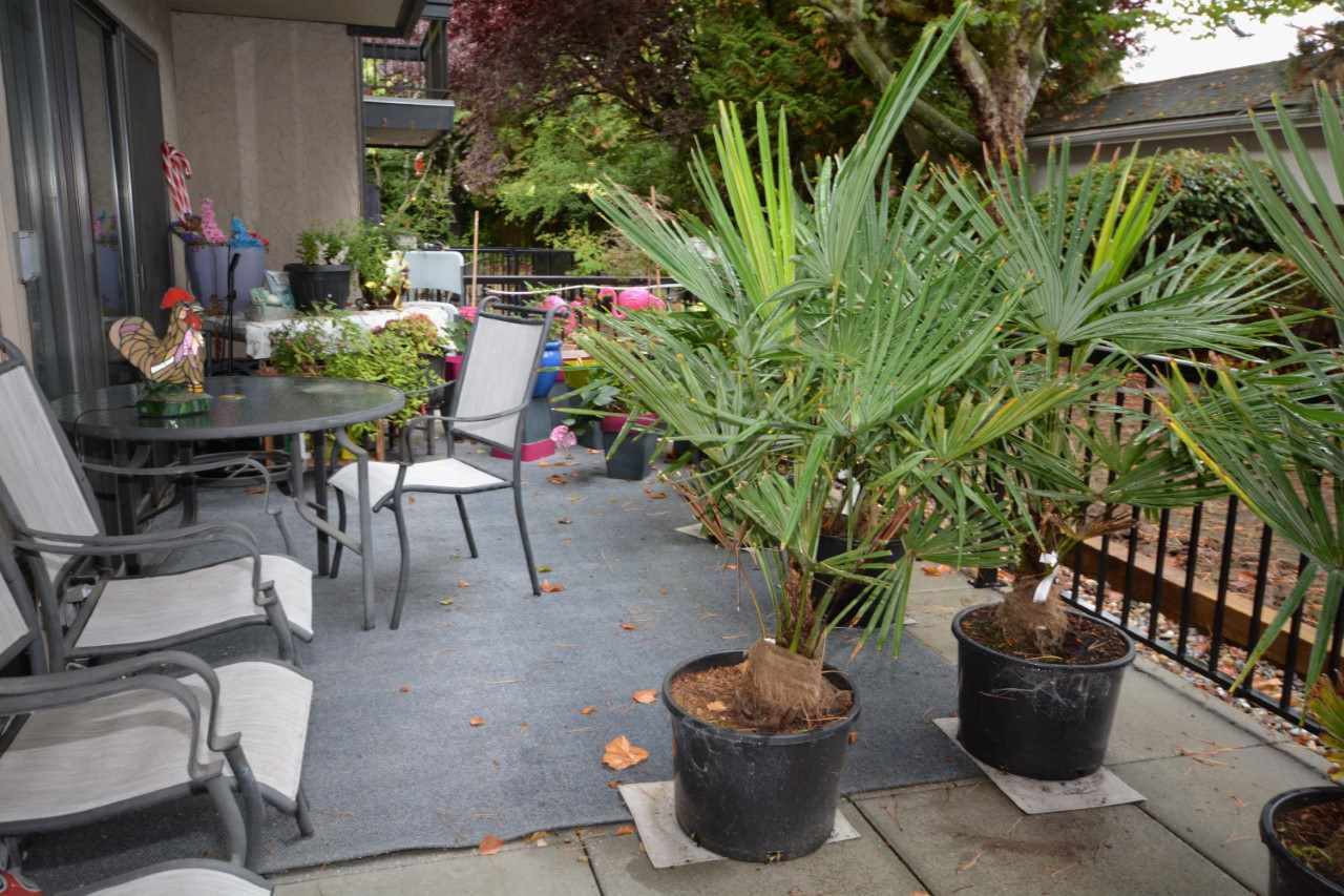 1175-ferguson-road-tsawwassen-east-tsawwassen-14 at 109 - 1175 Ferguson Road, Tsawwassen East, Tsawwassen 1175-ferguson-road-tsawwassen-east-tsawwassen-14 at 109 - 1175 Ferguson Road, Tsawwassen East, Tsawwassen