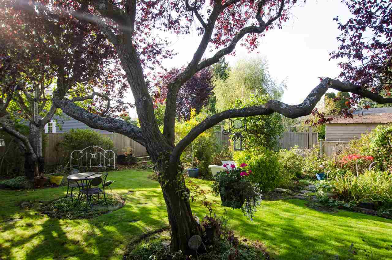 5063-westminster-avenue-neilsen-grove-ladner-03 at 5063 Westminster Avenue, Neilsen Grove, Ladner 5063-westminster-avenue-neilsen-grove-ladner-03 at 5063 Westminster Avenue, Neilsen Grove, Ladner