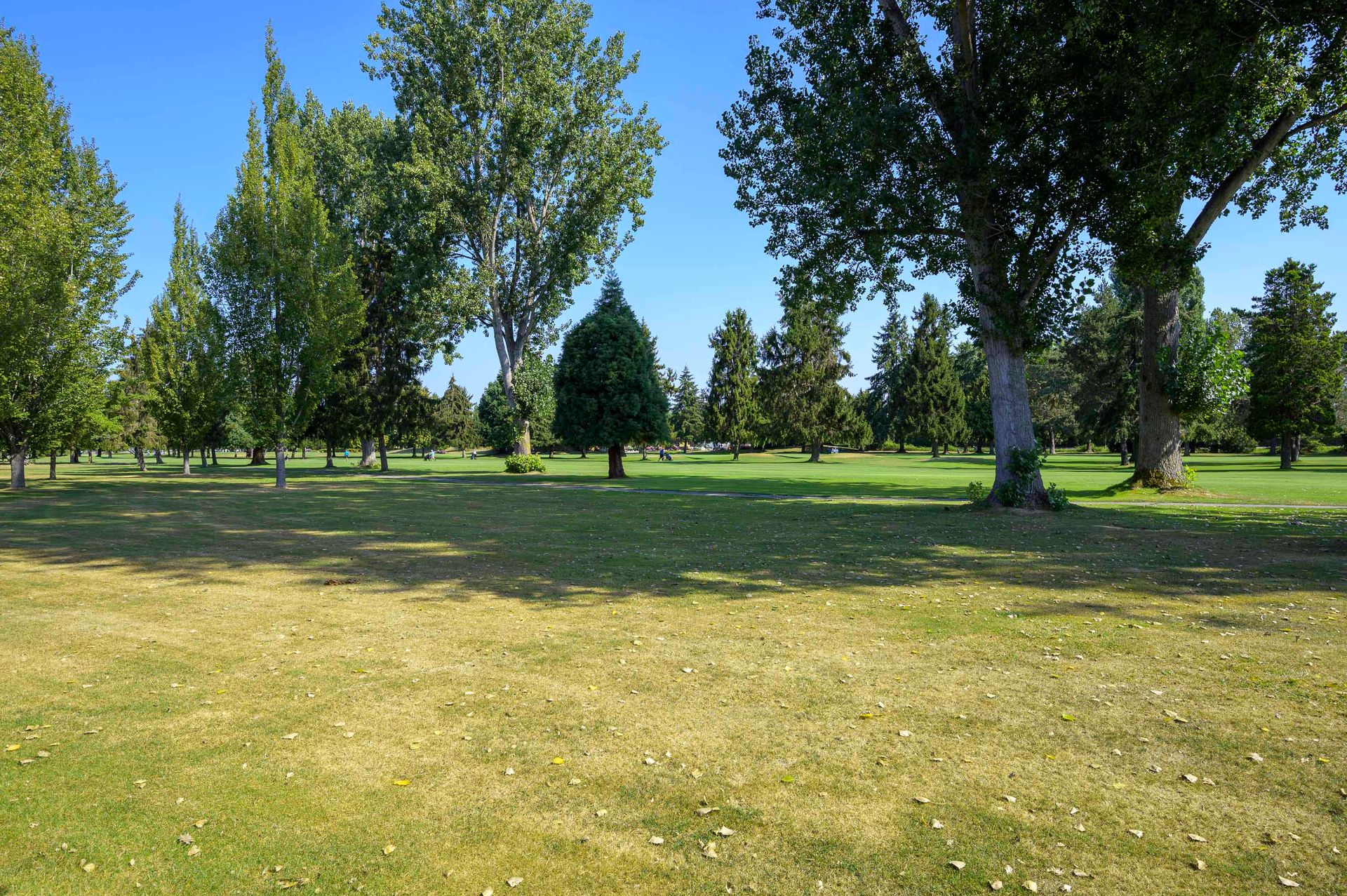 1008b-jackson-20-1 at 1008 Jackson Way, Tsawwassen East, Tsawwassen 1008b-jackson-20-1 at 1008 Jackson Way, Tsawwassen East, Tsawwassen