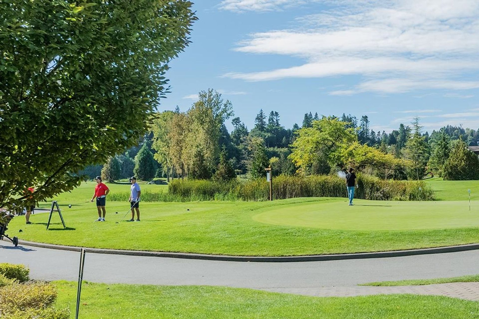 5011-springs-boulevard-tsawwassen-north-tsawwassen-27 at 204 - 5011 Springs Boulevard, Tsawwassen North, Tsawwassen 5011-springs-boulevard-tsawwassen-north-tsawwassen-27 at 204 - 5011 Springs Boulevard, Tsawwassen North, Tsawwassen