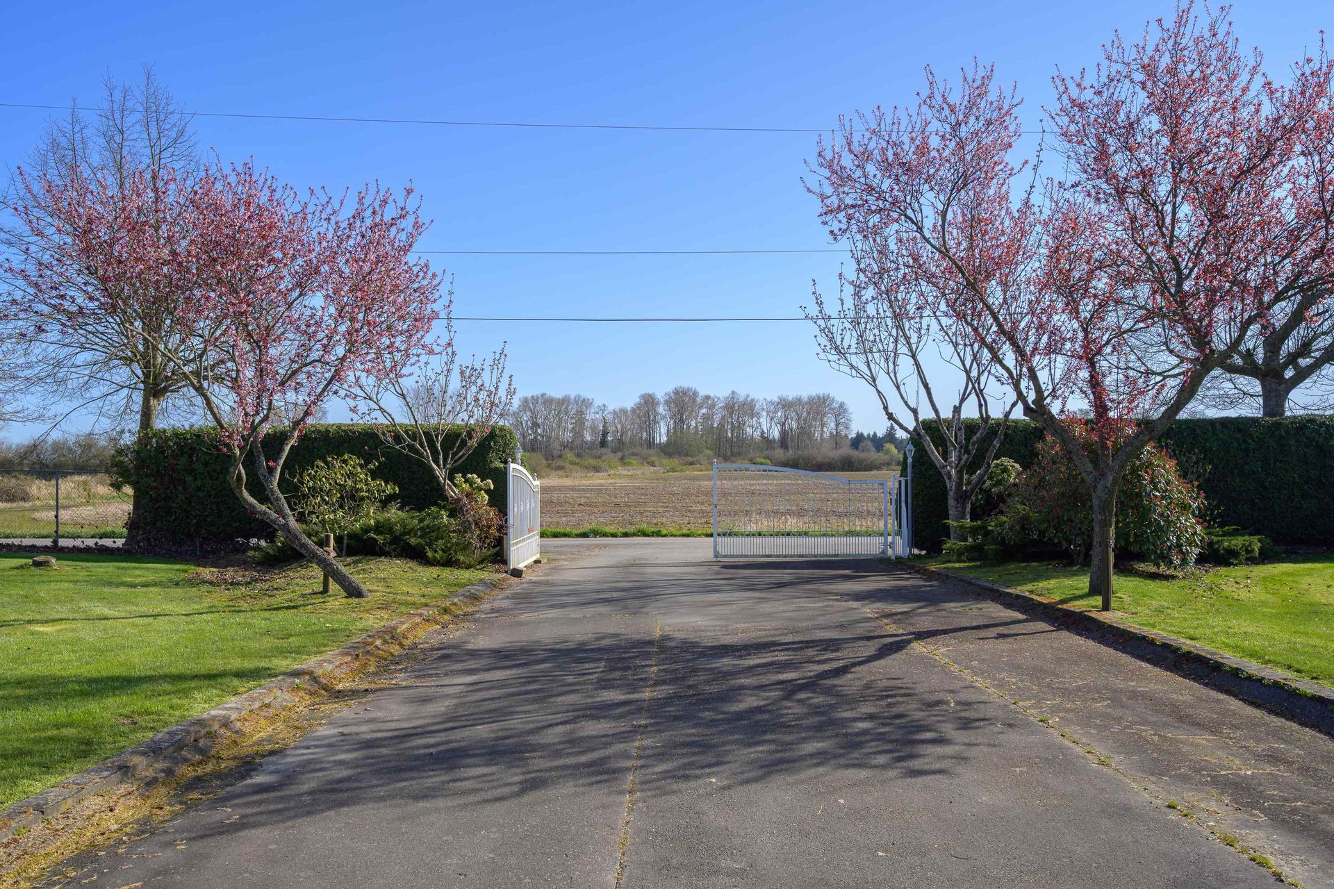 2150-56-street-beach-grove-tsawwassen-03 at 2150 56 Street, Beach Grove, Tsawwassen 2150-56-street-beach-grove-tsawwassen-03 at 2150 56 Street, Beach Grove, Tsawwassen