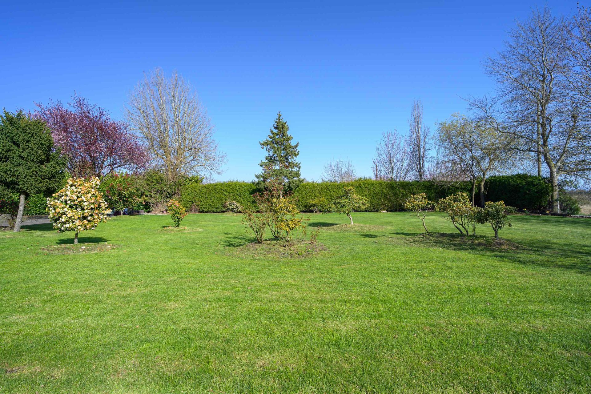 2150-56-street-beach-grove-tsawwassen-36 at 2150 56 Street, Beach Grove, Tsawwassen 2150-56-street-beach-grove-tsawwassen-36 at 2150 56 Street, Beach Grove, Tsawwassen