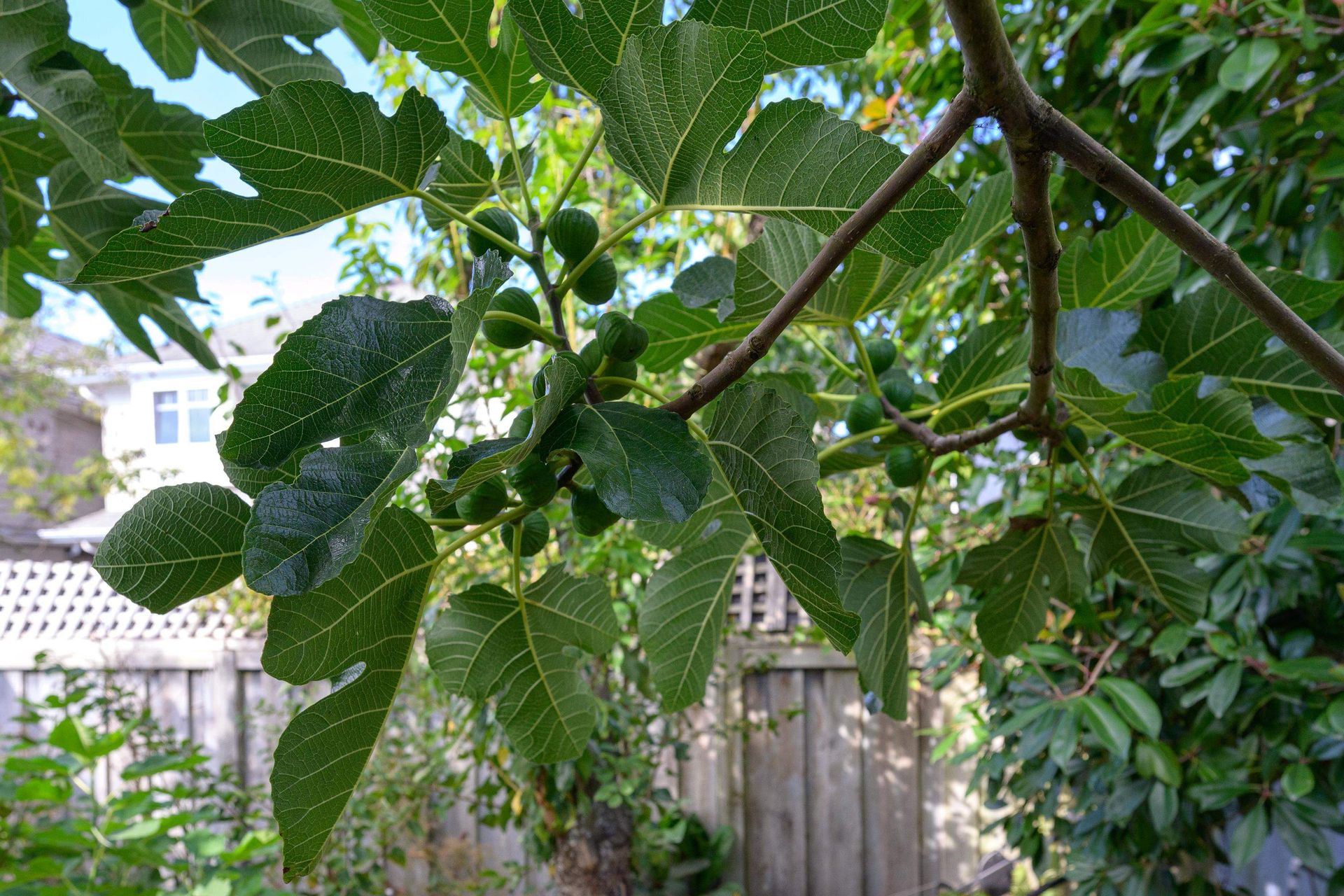 4430-50a-street-ladner-elementary-ladner-39 at 4430 50a Street, Ladner Elementary, Ladner 4430-50a-street-ladner-elementary-ladner-39 at 4430 50a Street, Ladner Elementary, Ladner