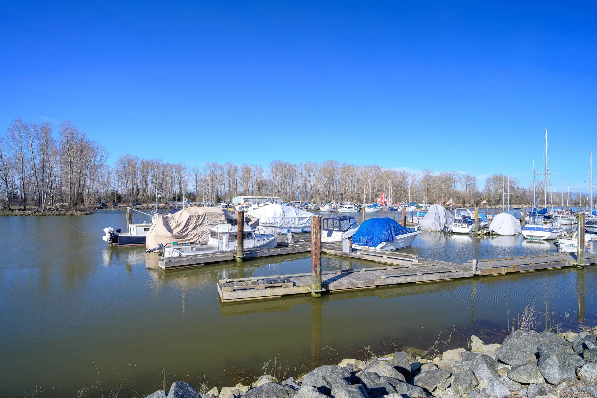 Photo of 110 - 4803 48 Avenue, Ladner Elementary, Ladner