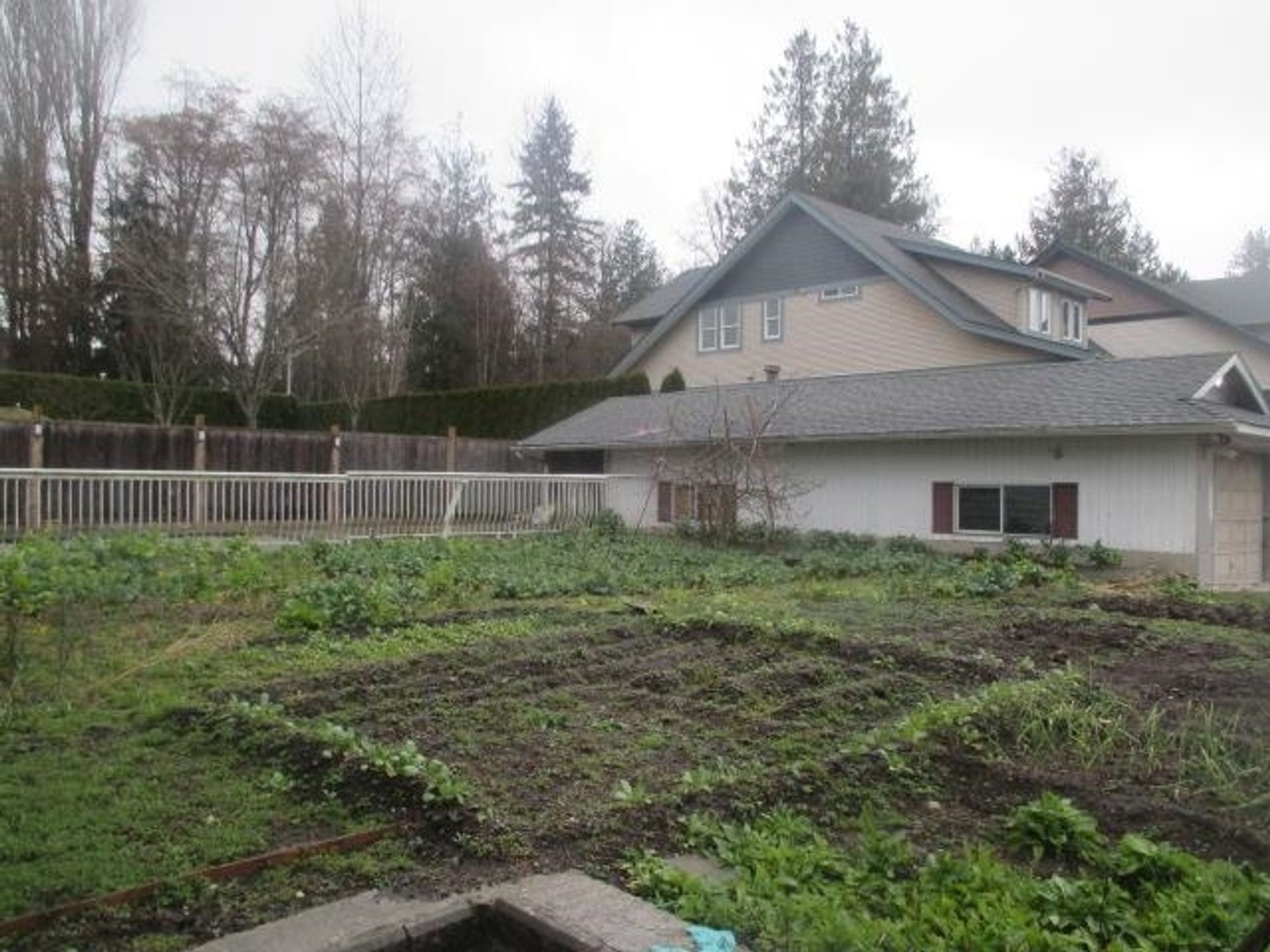 6682-148-street-east-newton-surrey-15 at 6682 148 Street, East Newton, Surrey