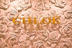 dsc_6299-displace-sign-no-light at 2096 West 47th Avenue, Kerrisdale, Vancouver West