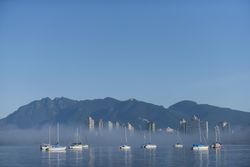 dsc_1405-copy at  Macdonald & 4th Avenue, Vancouver West