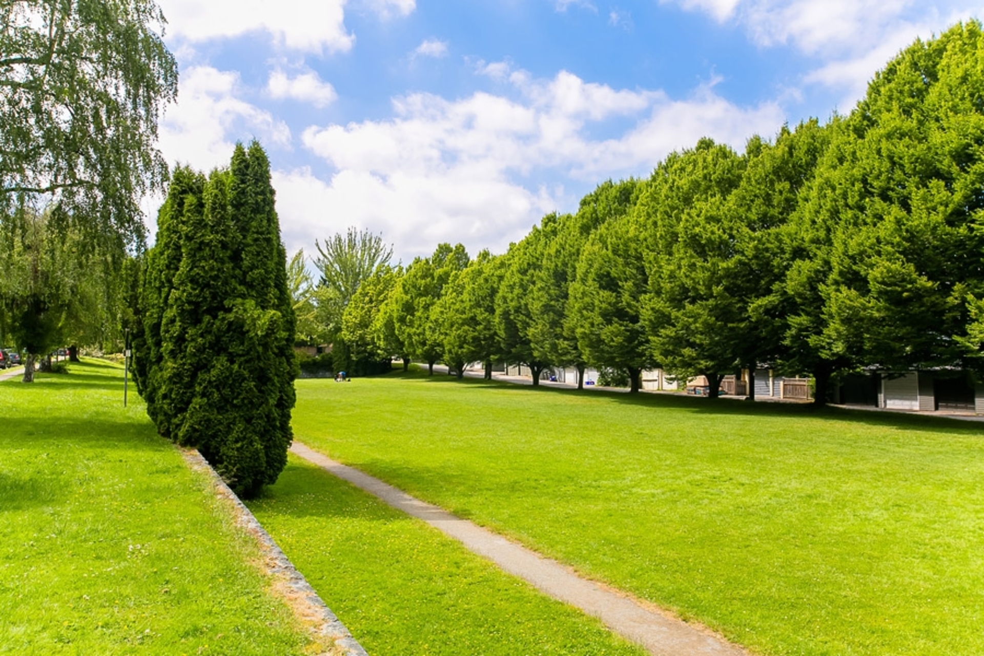 Nearby Park at 1706 15th Avenue, Shaughnessy, Vancouver West