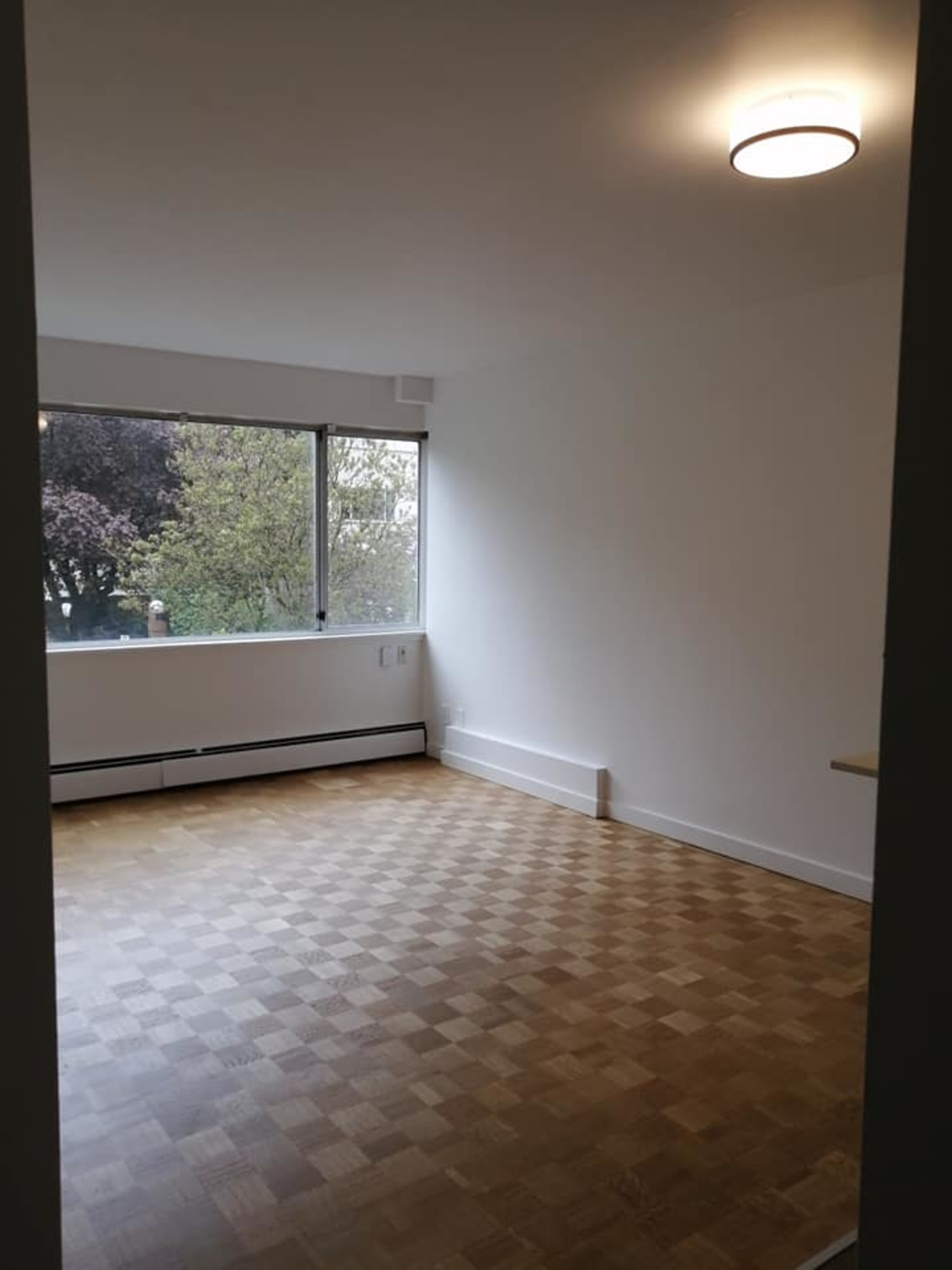 95480929_1628432060640288_8979865730681929728_n at 310 - 2033 Comox Street, West End VW, Vancouver West