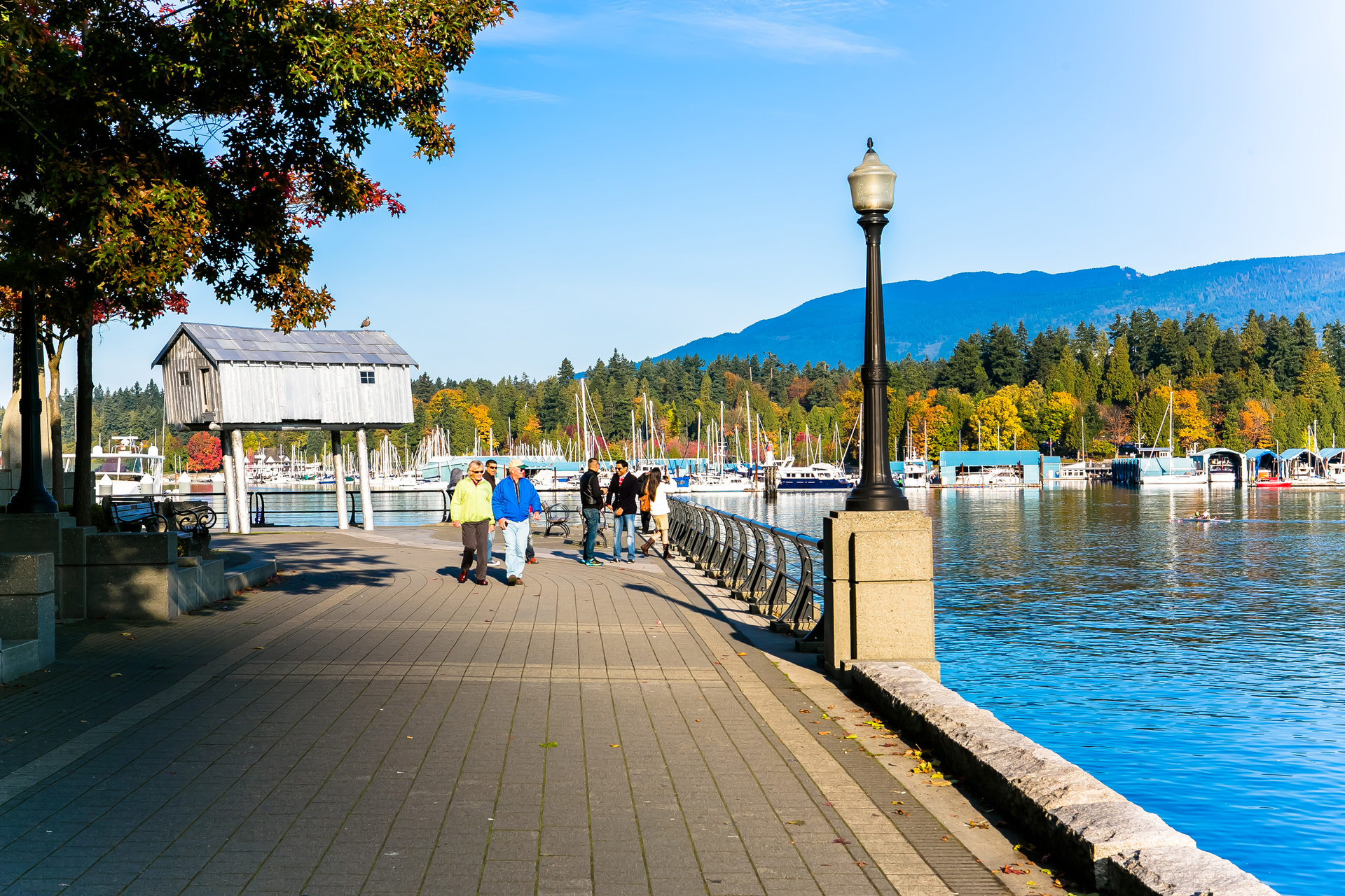 1j6a6241 at 401 - 535 Nicola, Coal Harbour, Vancouver West