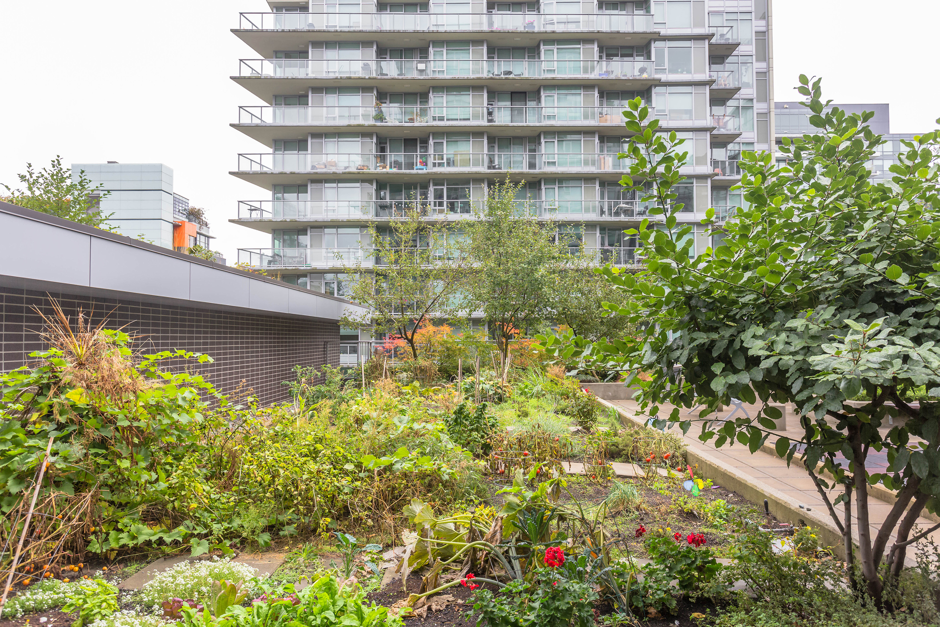 1j6a6953 at 356 - 168 1st, False Creek, Vancouver West