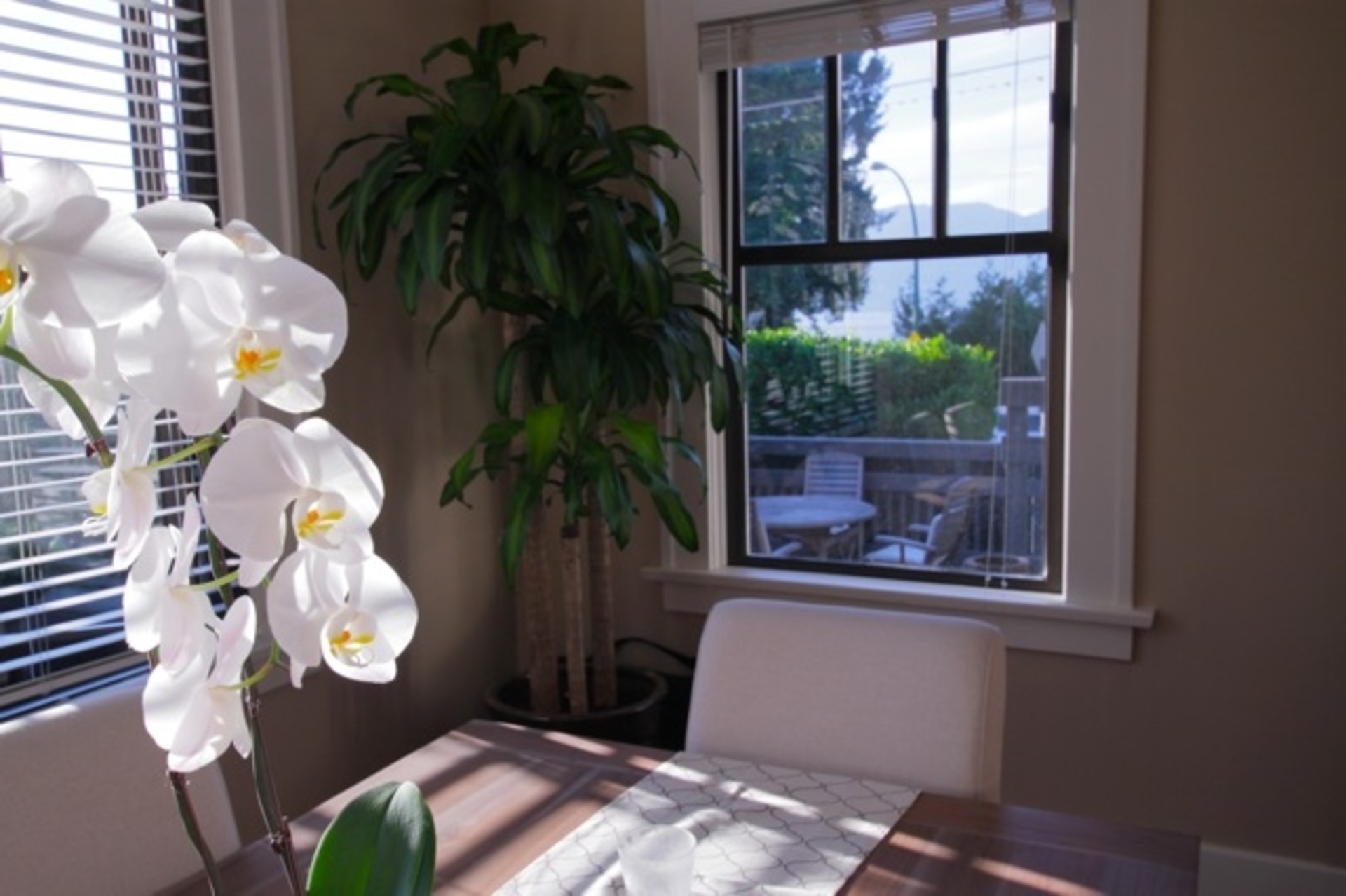 Nook at 1 - 3090 POINT GREY ROAD, Kitsilano, Vancouver West