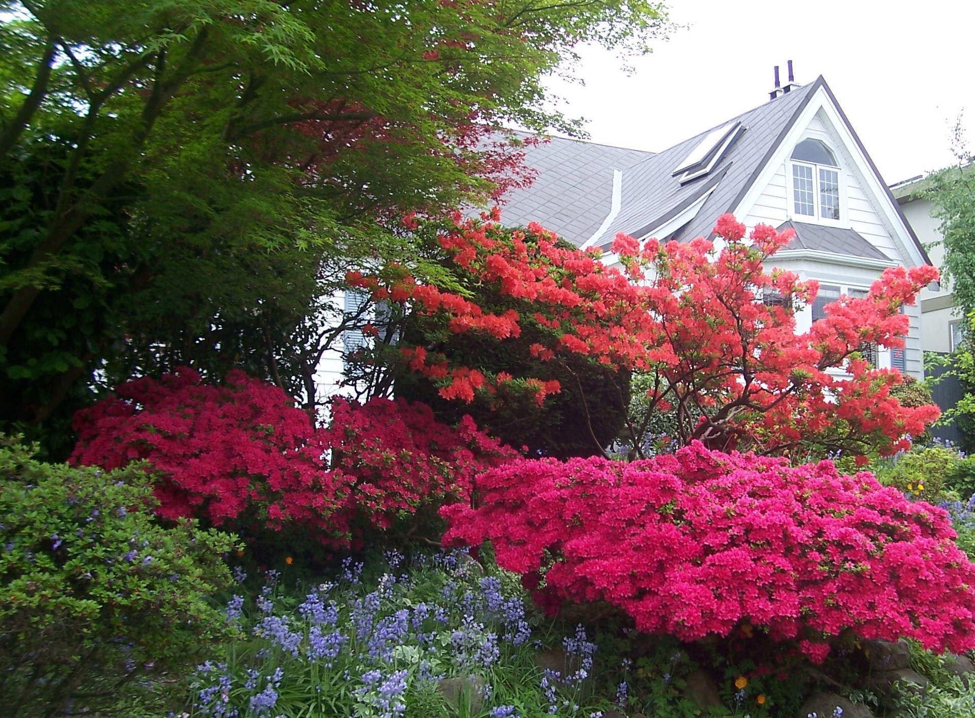 548 W27th, South Cambie, Vancouver West 