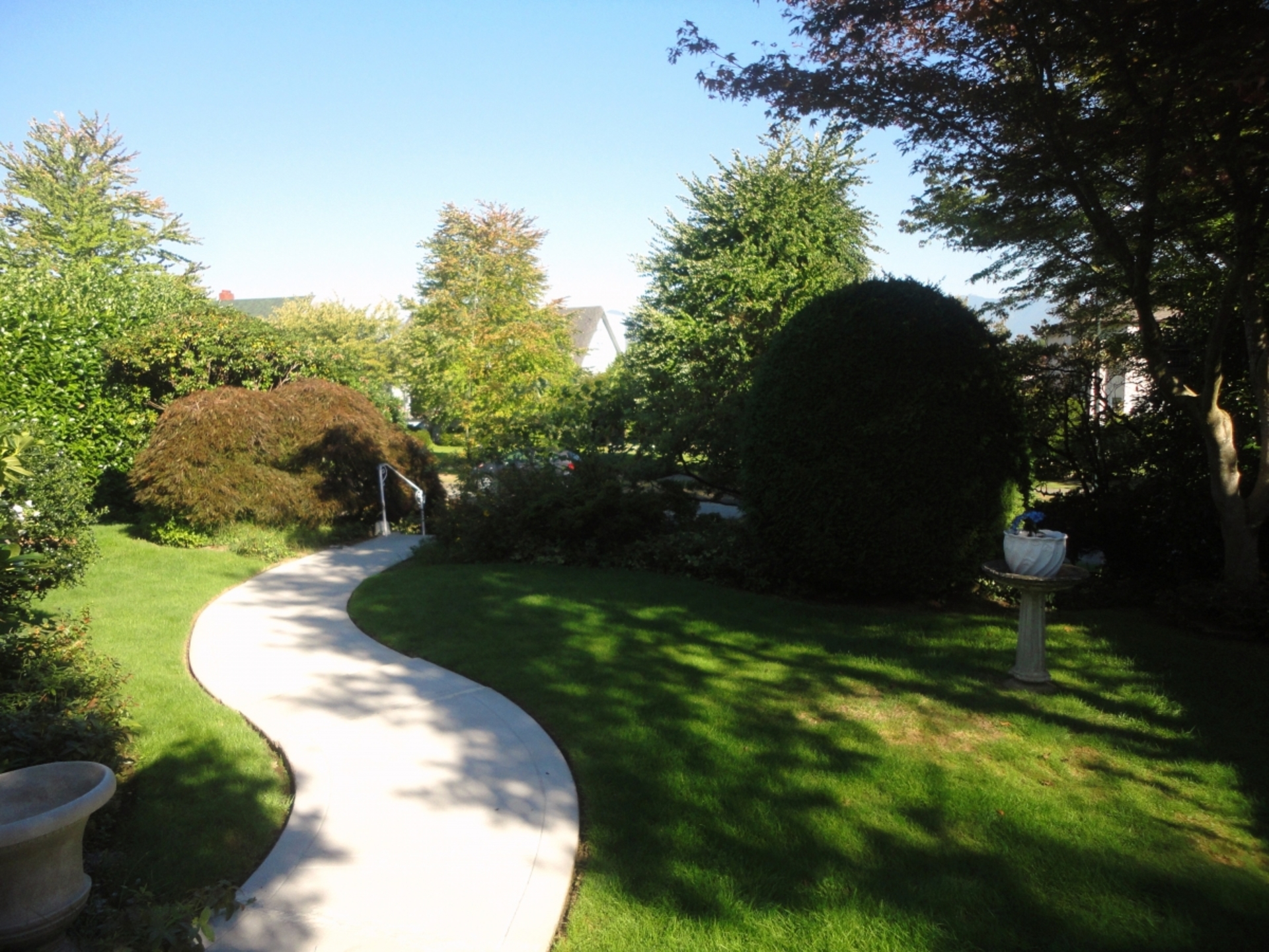 Front Yard at 548 W27th, South Cambie, Vancouver West