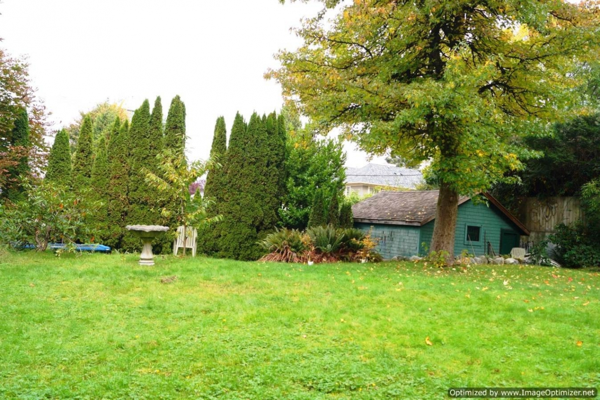 Backyard at 1589 MARPOLE AVE, Vancouver West
