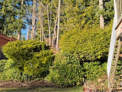 backyard at 1620 Parkway Boulevard, Westwood Plateau, Coquitlam