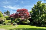 courtyard at #102 - 74 Miner Street, Fraserview NW, New Westminster